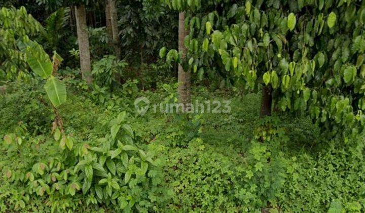 Dijual Lahan Untuk Perumahan Di Serang