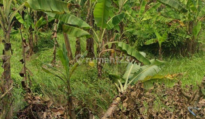 Dijual Lahan Cocok Untuk Kawasan Industri Dan Pergudangan 1