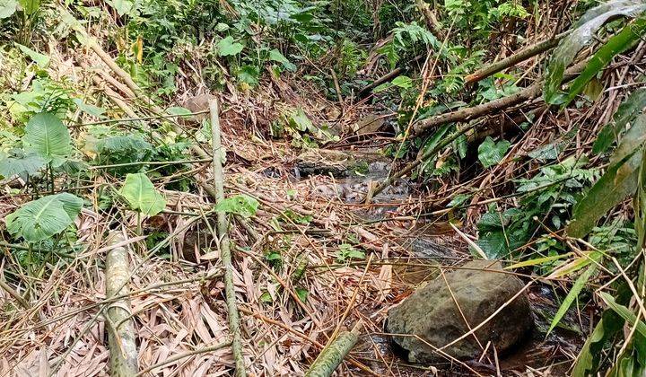 Dijual Murah Kebun Produktif Di Serang Banten 2