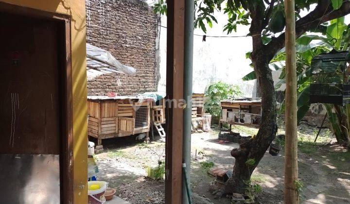 Dijual Cepat Ruang Usaha + Rumah + Kos Kosan Dekat Bandara Juanda, Nego di Sedati, Sidoarjo 2