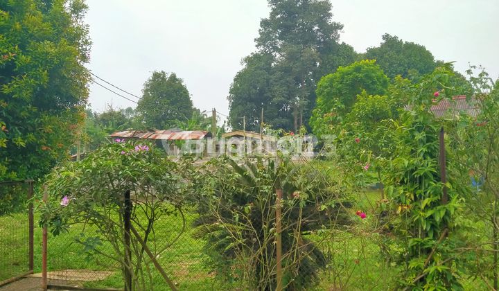 ORCHARD LAND in GUNUNG SINDUR 9500 square meters Price 2 million per square meter ORCHARD LAND in GUNUNG SINDUR 9500 square meters Price 2 million per square meter
