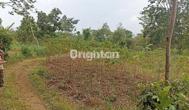 tanah kebun lawang Malang 2