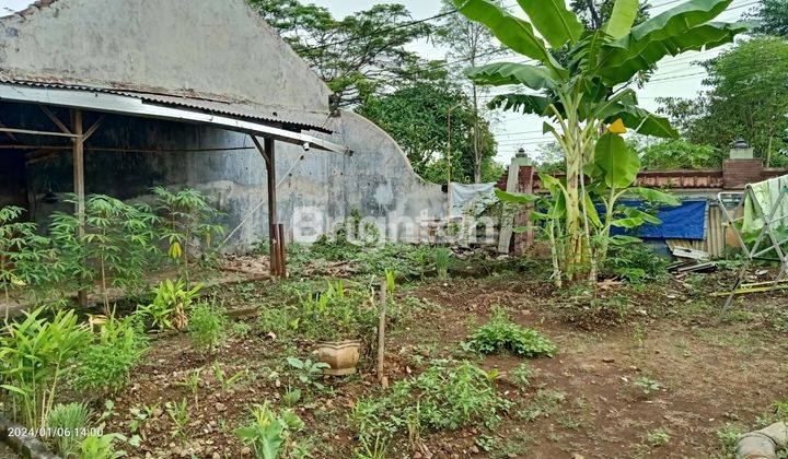 RUMAH HOOK OMA INDAH KAPUK PANDAAN 2