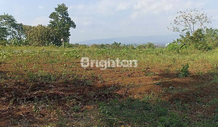 TANAH UNTUK KEBUN VILLA DAN RUMAH 2