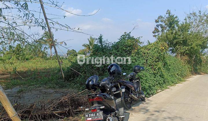 TANAH UNTUK KEBUN VILLA DAN RUMAH 1