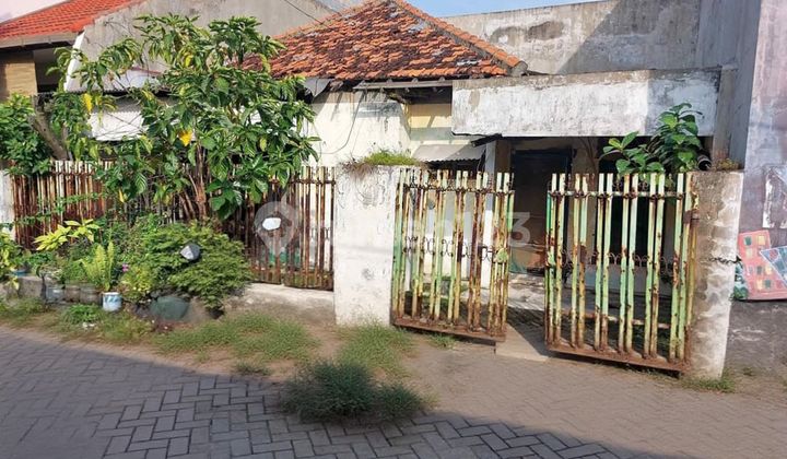 *Dijual Rumah Hitung Tanah**Klampis Cocok untuk Kos/Bangun Jadi 2 Rumah Dekat Banyak Kampus*