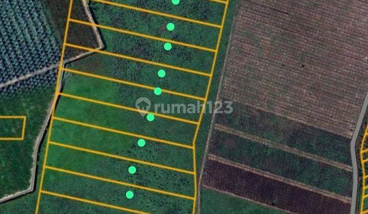 Jual Tanah Cocok Untuk Perkebunan Sawit/industri, Lokasi Wajok Hulu 1