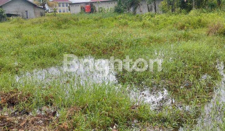 Tanah Murah di Desa Kapur Pontianak cocok untuk bangun rumah 1