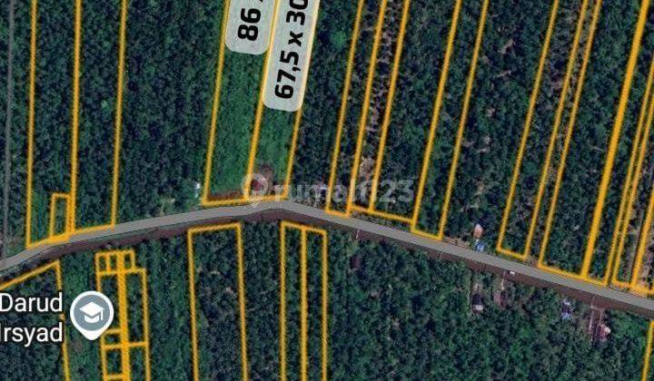 Jual Tanah Kebun Langsat/cocok Untuk Bangun Perumahan, Lokasi Punggur Kecil, Sungai Kakap, Pontianak, Kalbar 1
