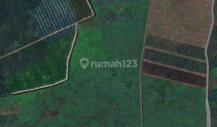 Jual Tanah Cocok Untuk Perkebunan Sawit/industri, Lokasi Wajok Hulu 2