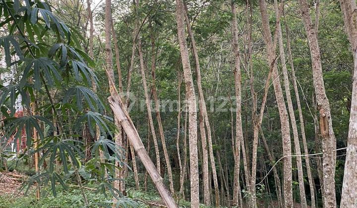 Land for Sale in the Grafika Street Area, Banyumanik 2