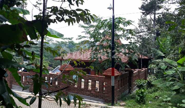 Tanah Plus Rumah Mungil Di Atasnya 2