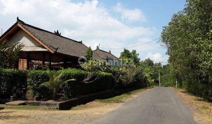 Tanah Lapang Di Desa Tangguntiti Tabanan S8135 2