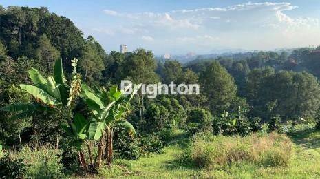 Dago Pakar kavling nuansa pegunungan sejuk dekat taman hutan raya TAHURA Bandung 1