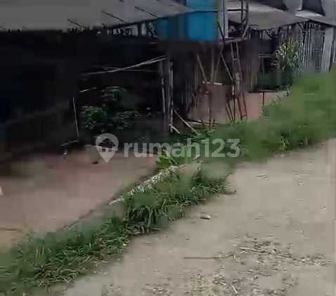 For Sale Layer Chicken Farm Located in Bogor, West Java