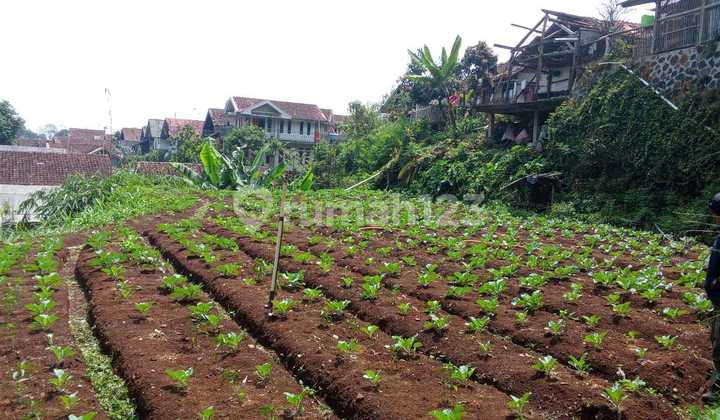 Dijual Tanah Invest Kp. Pasanggrahan Desa Girimuly Kab Bandung