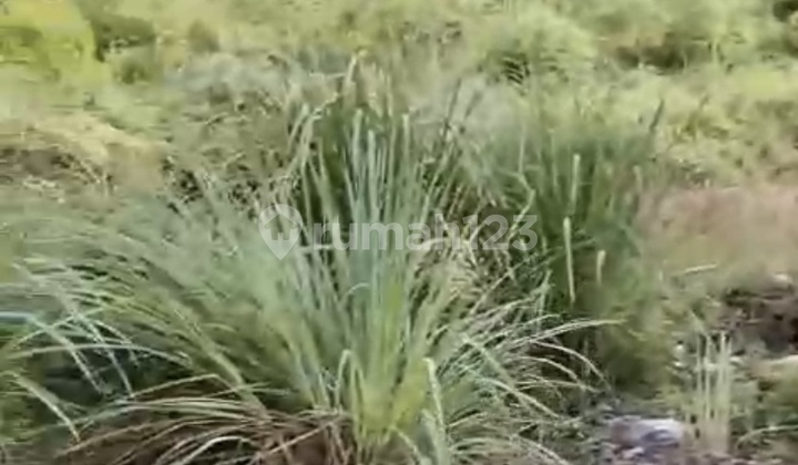 Dijual Murah Lahan Komersil Mainroad Bandung Garut Jawa Barat