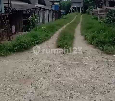 For Sale Layer Chicken Farm Located in Bogor, West Java