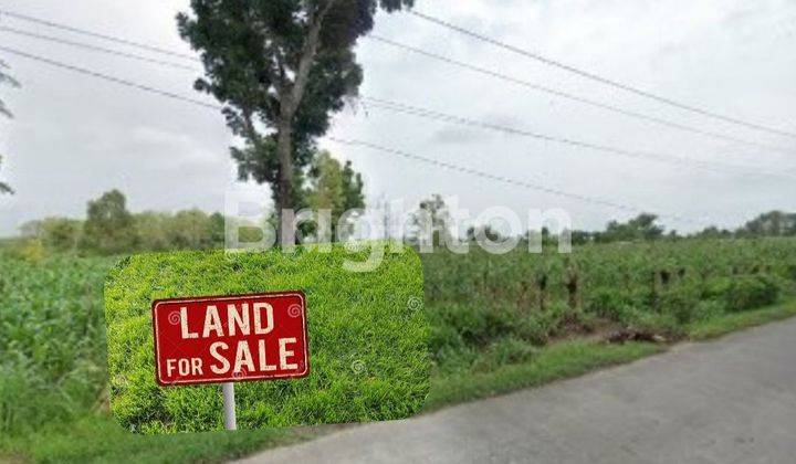 DI JUAL TANAH LOKASI STRATEGIS DI 0 JL RAYA DAWAR,BLANDONG - MOJOKERTO 1