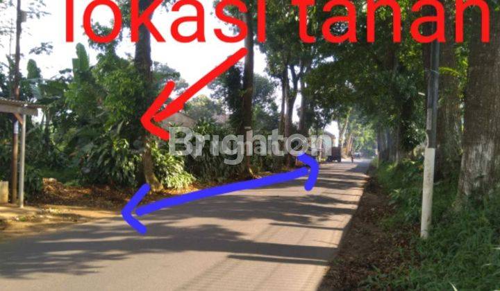 Tanah strategis pinggir jalan raya Cibadak_Nagrak 1