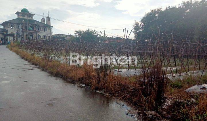 TANAH KOMERSIL DI LINGKAR LALADON DEKAT KAMPUS IPB 1