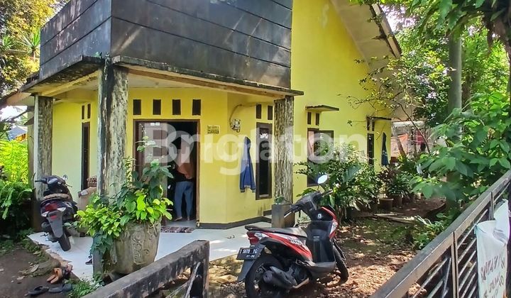 RUMAH PENUH TANAMAN KALISUREN 1