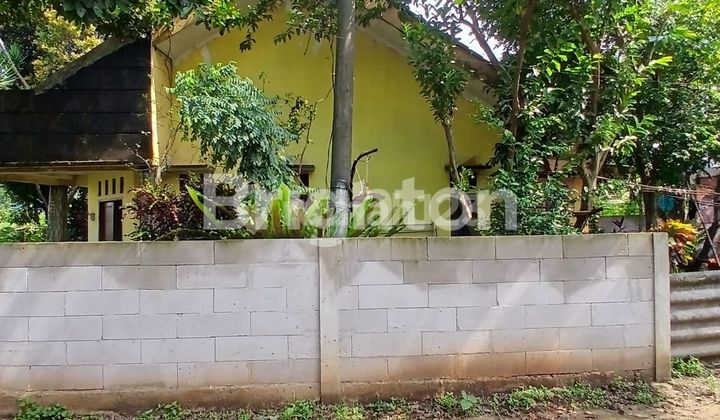 RUMAH PENUH TANAMAN KALISUREN 2