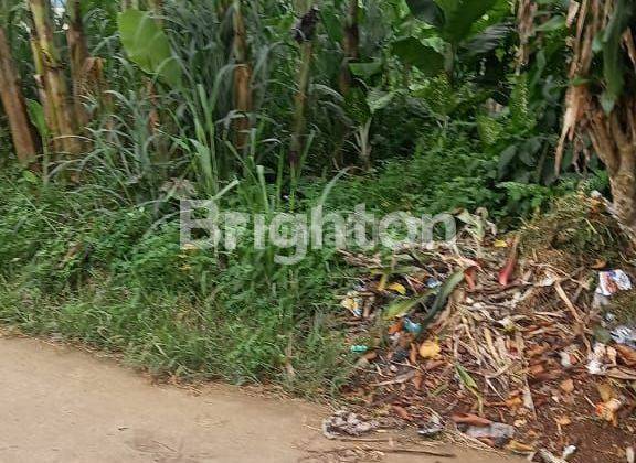 Tanah di jalan raya Katapang Andir Bogor 1