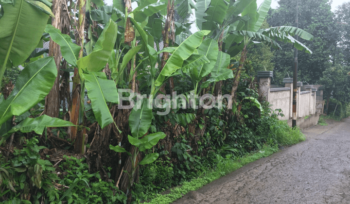 Tanah Kavling di Tamansari Ciomas Bogor 1