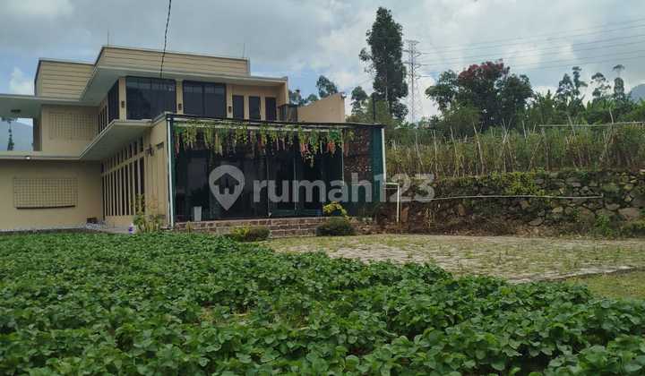 For Sale Beautiful Furnished Strawberry Garden Villa in Rancabali Ciwidey 2