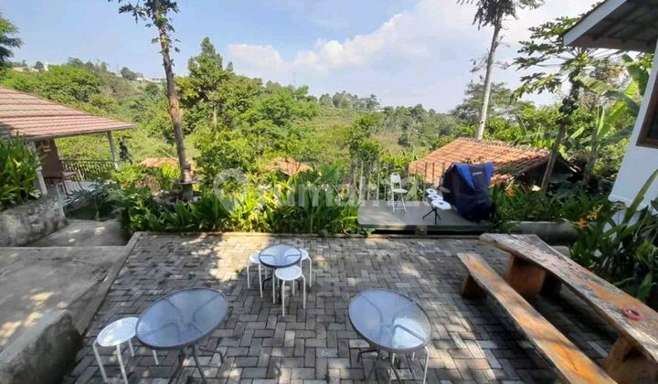 Termurah Dijual Cafe Aktif & Camp Luas di Cipageran Kota Cimahi