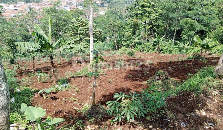  Dijual Tanah Luas View Pegunungan Dekat Kota Baru Parahyangan  1