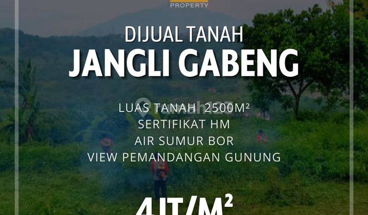 Tanah View Gunung Di Jangli Gabeng 1