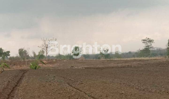 Woooow hari gini masih ada tanah seharga Rp450 000 per meter persegi, di  cepat lagi 1