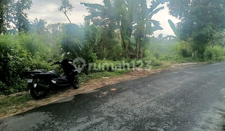 Strategic Land for Sale, next to Main Road