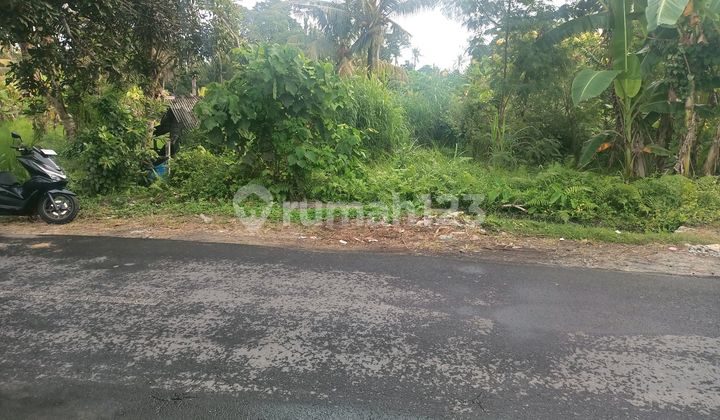 Strategic Land for Sale, next to Main Road