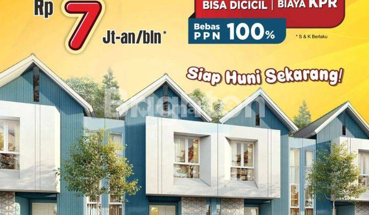 CLUSTER CATRIONA SUVARNA SUTERA 1