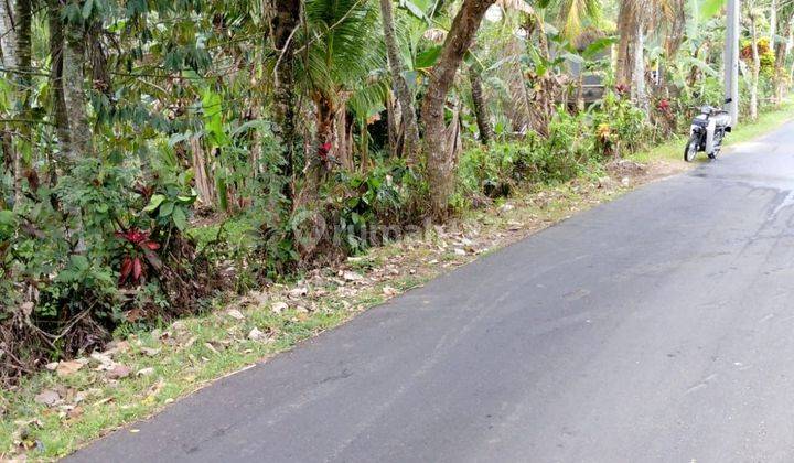 Strategic Land Location on the Side of the Road in Selemadeg Tabanan Bali, Tabanan 2