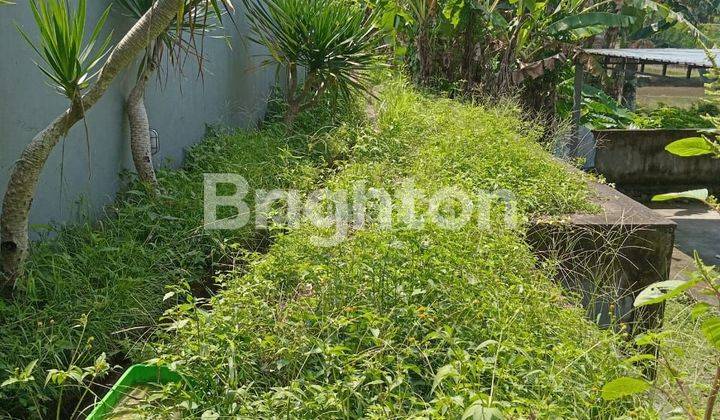 TANAH DAN BANGUNAN DI JUNJUNGAN UBUD 1