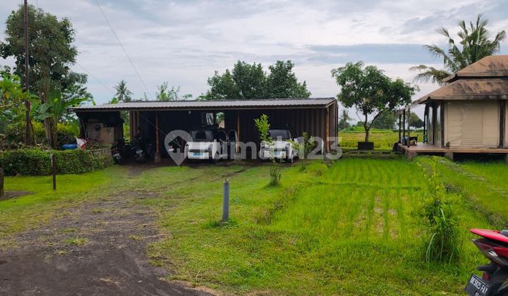 Beach Front Land Plot at Belong Beach Area in Tabanan