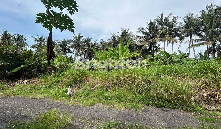 LAND IN SABA GIANYAR 1