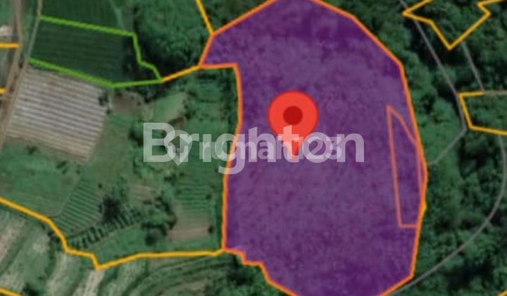 CHEAP LAND FOR SALE IN GIANYAR CHEAP LAND FOR SALE IN GIANYAR