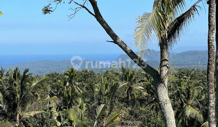 Tanah Luas 1.59 Hektar dengan View di Abang Karangasem Bali