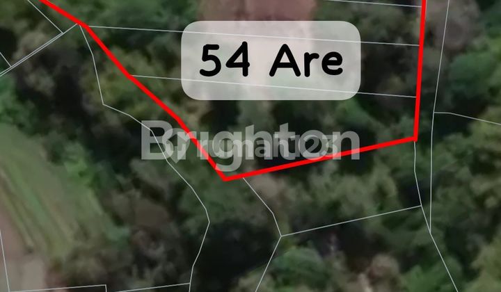 PANTAI NYANYI BERABAN TABANAN