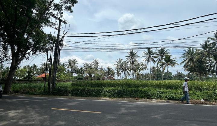 2600 M2 Leased Land Strategic Location on Main Road Sembung Mengwi Badung