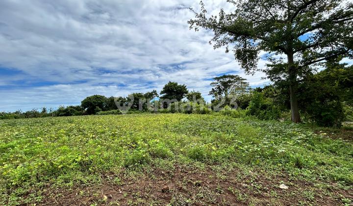 Tanah Kawasan Seririt Buleleng