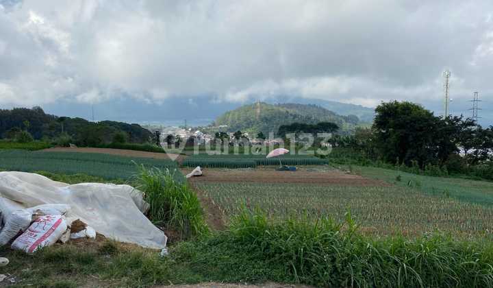 Land 4900 [1500 M2 and 3400 M2] with Lake and Mountain Views in the Bedugul Botanical Garden Area, Tabanan Bali