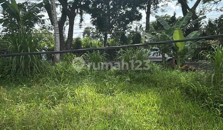 Land 3400 M2 Strategically Located in Mengwi Area, Badung Bali. Land 3400 M2 Strategically Located in Mengwi Area, Badung Bali.