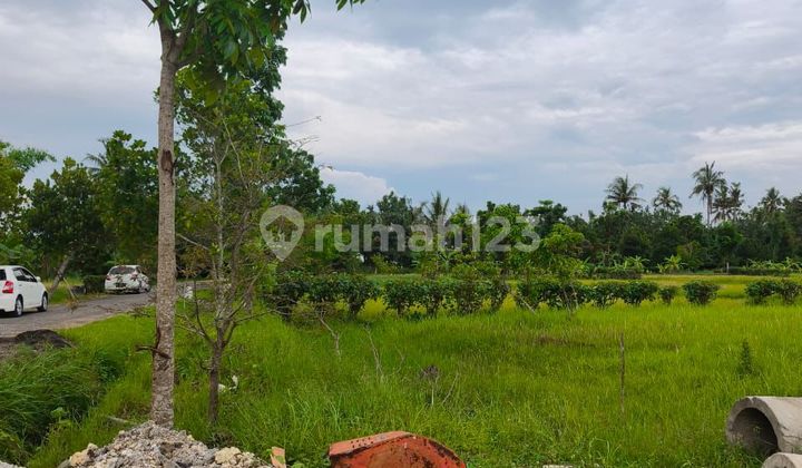 Tanah Kavling Di Pantai Belong Beach Front Di Kawasan Tabanan