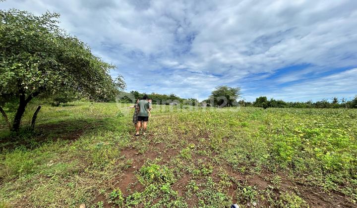 Tanah Kawasan Seririt Buleleng